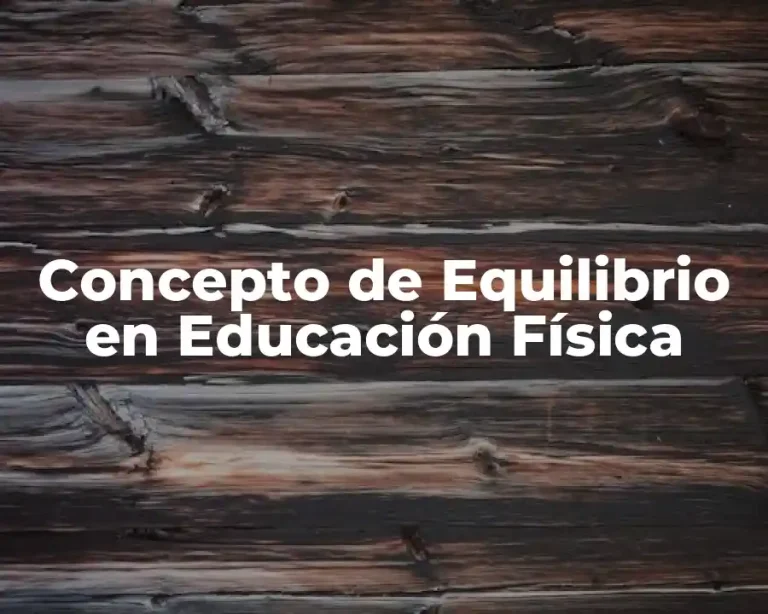 Concepto de Equilibrio en Educación Física