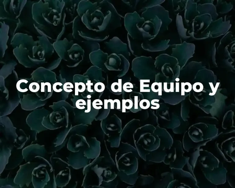 Concepto de Equipo y ejemplos