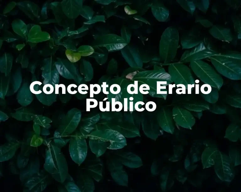 Concepto de Erario Público