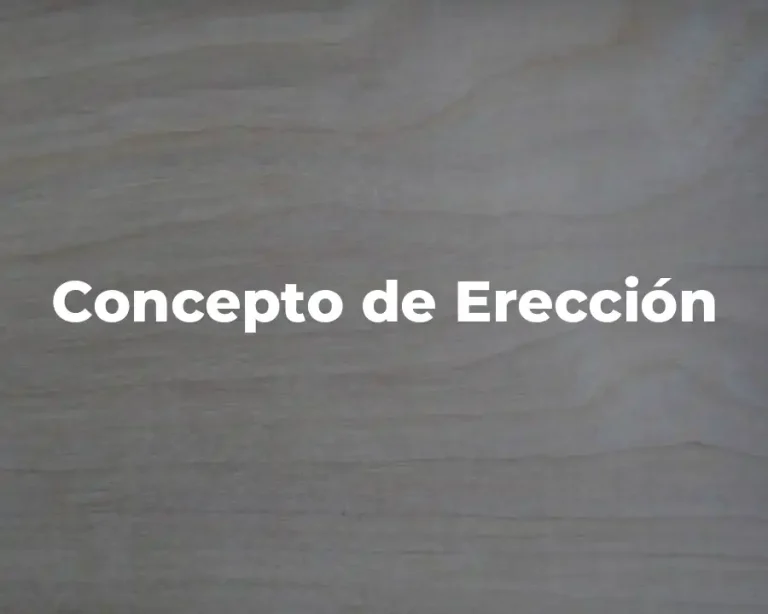 Concepto de Erección
