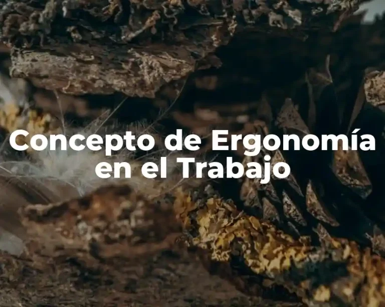 Concepto de Ergonomía en el Trabajo