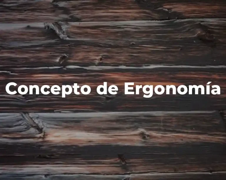 Concepto de Ergonomía