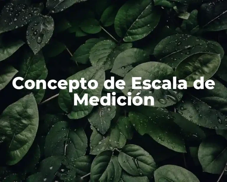Concepto de Escala de Medición