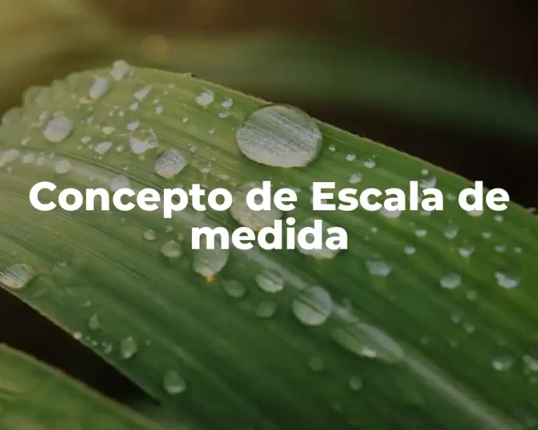 Concepto de Escala de medida