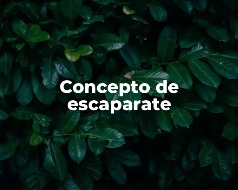 Concepto de escaparate