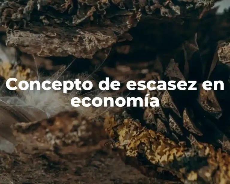 Concepto de escasez en economía