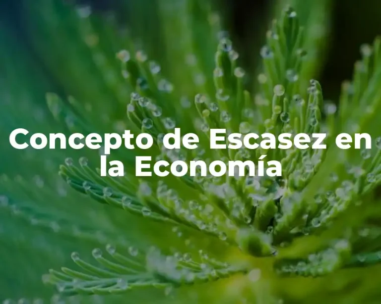 Concepto de Escasez en la Economía