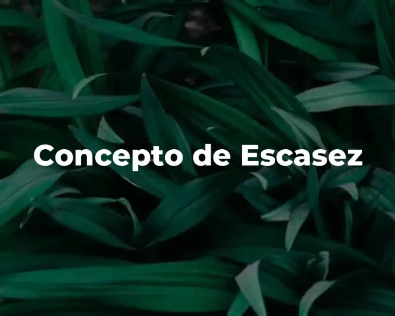 Concepto de Escasez