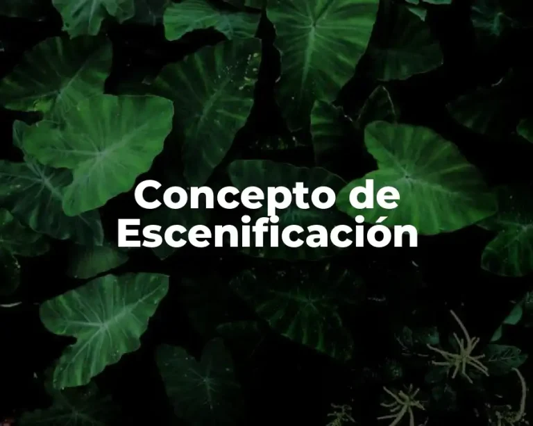 Concepto de Escenificación