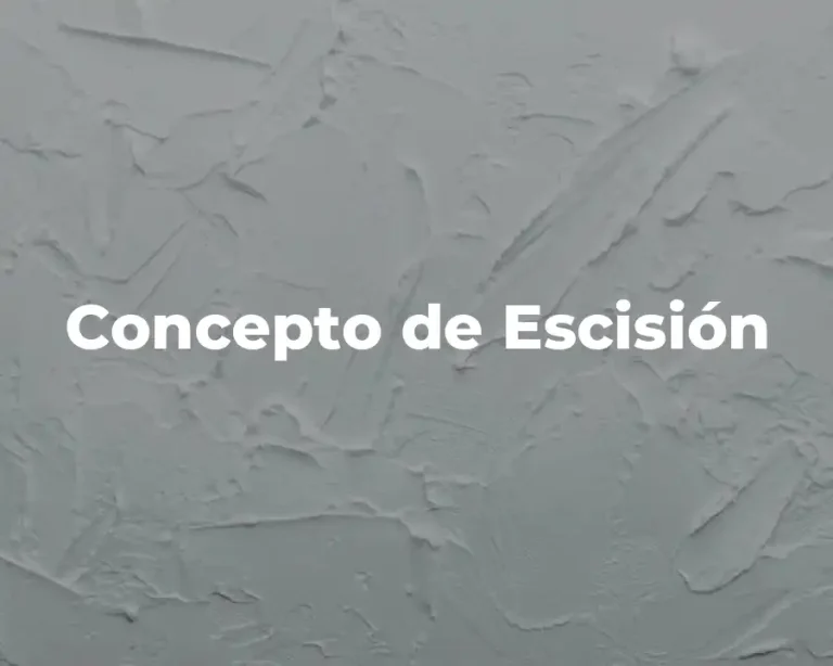 Concepto de Escisión