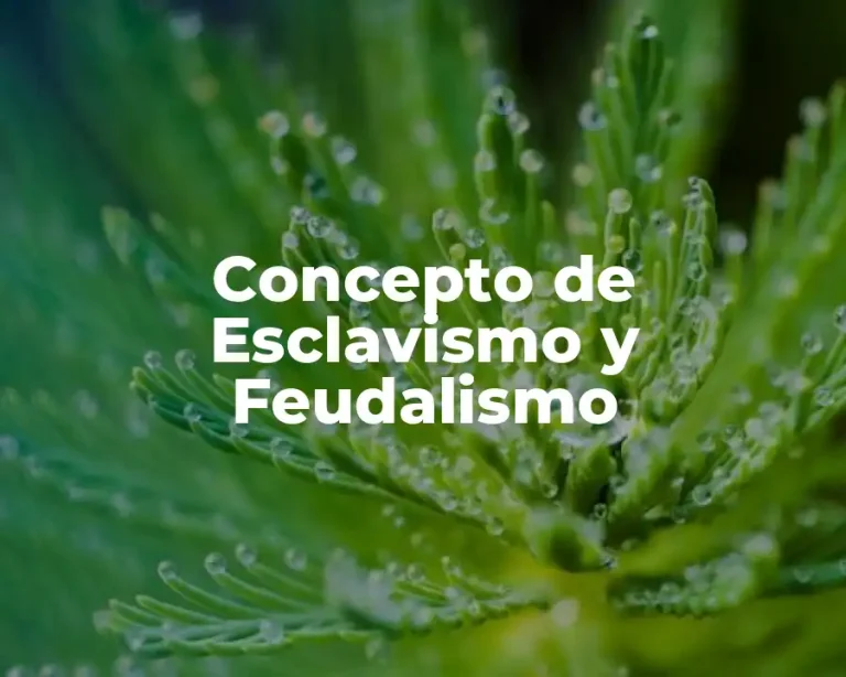 Concepto de Esclavismo y Feudalismo