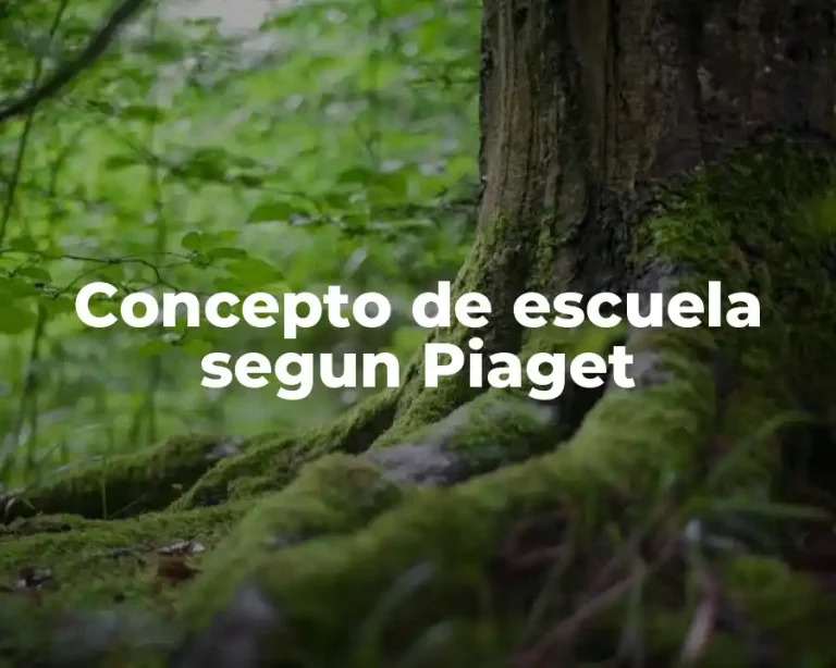 Concepto de escuela segun Piaget