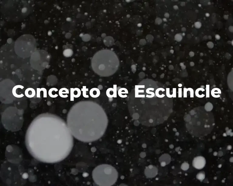 Concepto de Escuincle