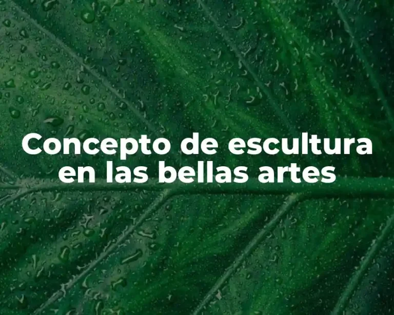Concepto de escultura en las bellas artes