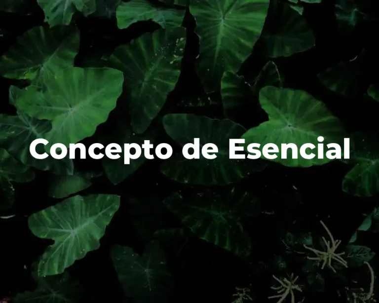 Concepto de Esencial