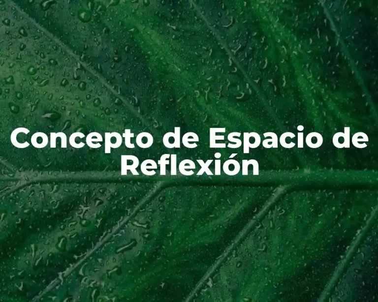Concepto de Espacio de Reflexión