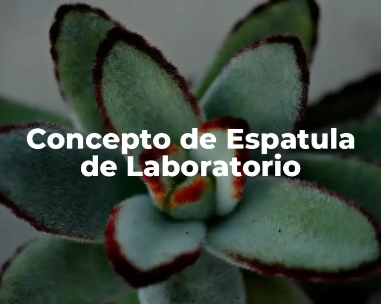 Concepto de Espatula de Laboratorio