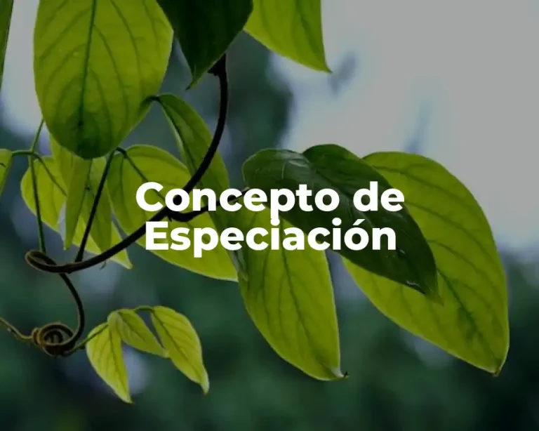 Concepto de Especiación