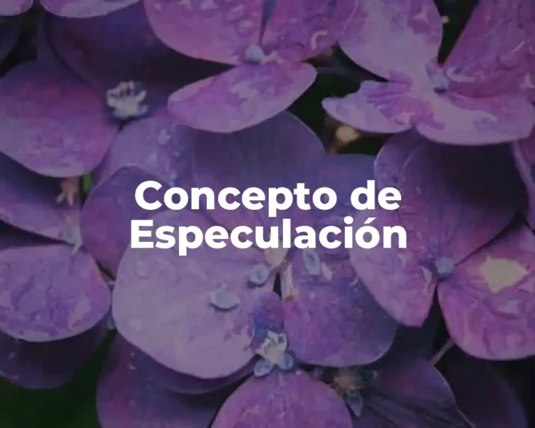 Concepto de Especulación