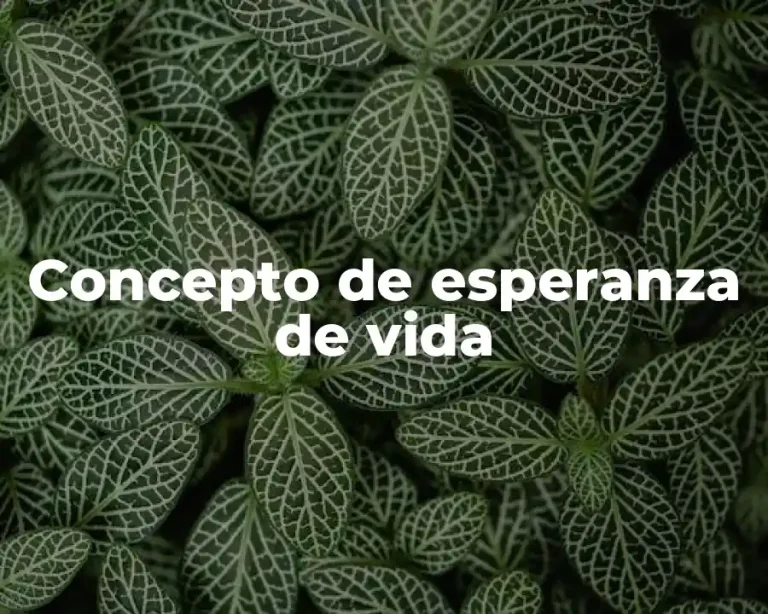 Concepto de esperanza de vida