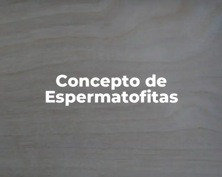 Concepto de Espermatofitas
