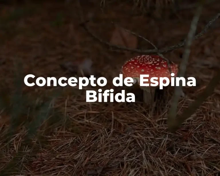 Concepto de Espina Bifida