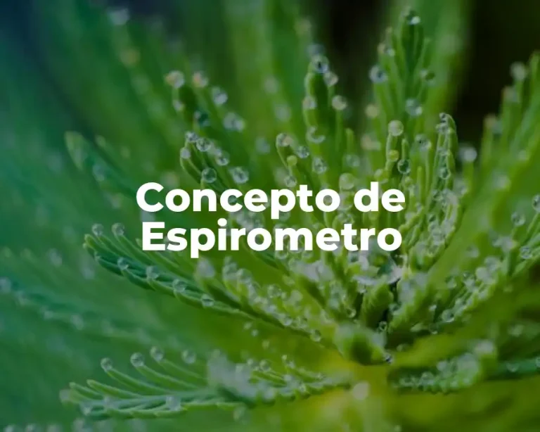 Concepto de Espirometro