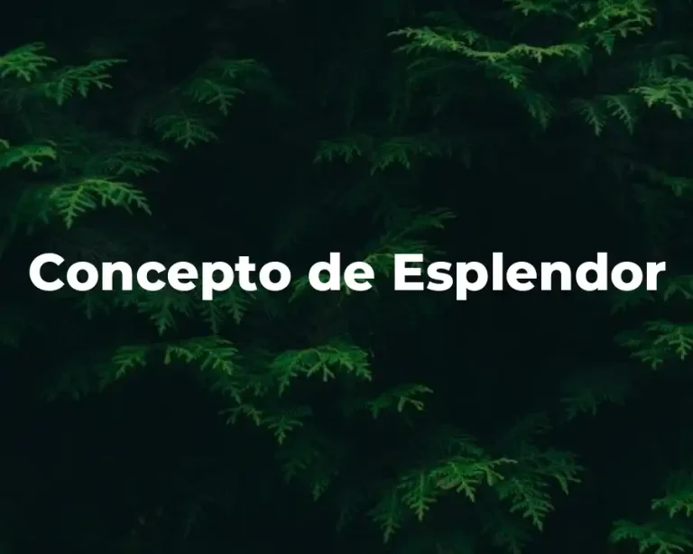 Concepto de Esplendor