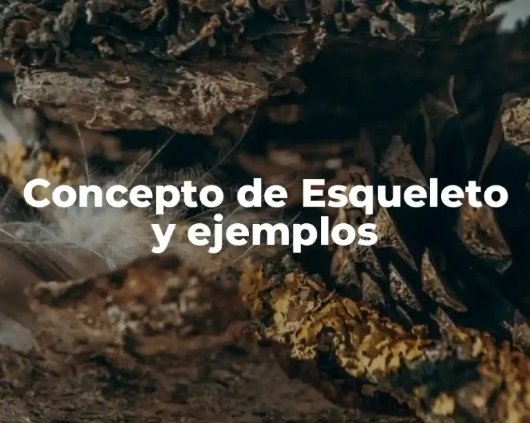 Concepto de Esqueleto y ejemplos