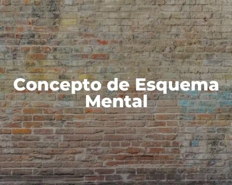 Concepto de Esquema Mental