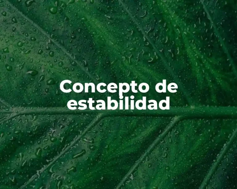 Concepto de estabilidad