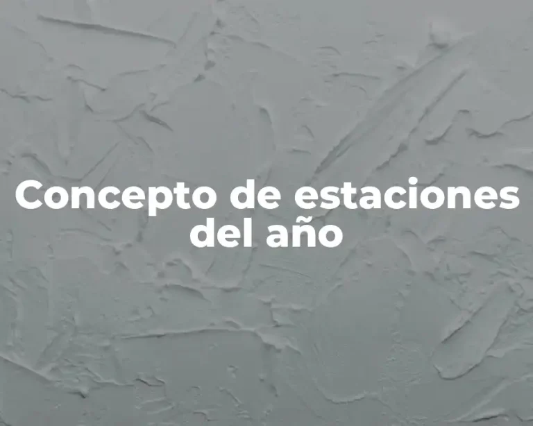 Concepto de estaciones del año