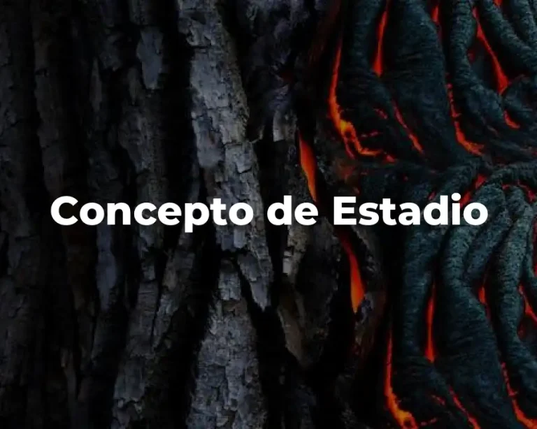 Concepto de Estadio