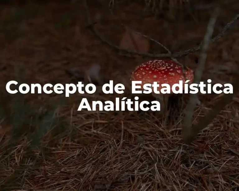 Concepto de Estadística Analítica