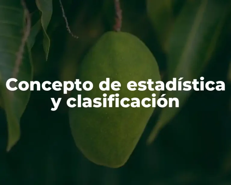 Concepto de estadística y clasificación
