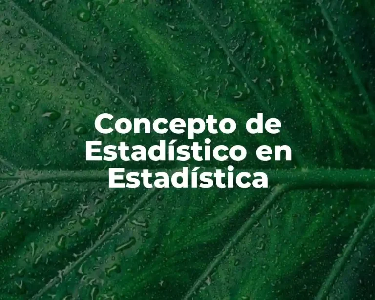 Concepto de Estadístico en Estadística