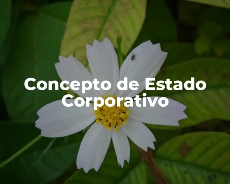 Concepto de Estado Corporativo