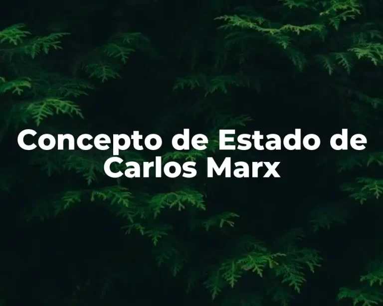 Concepto de Estado de Carlos Marx