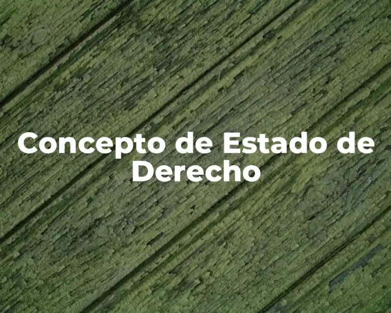 Concepto de Estado de Derecho