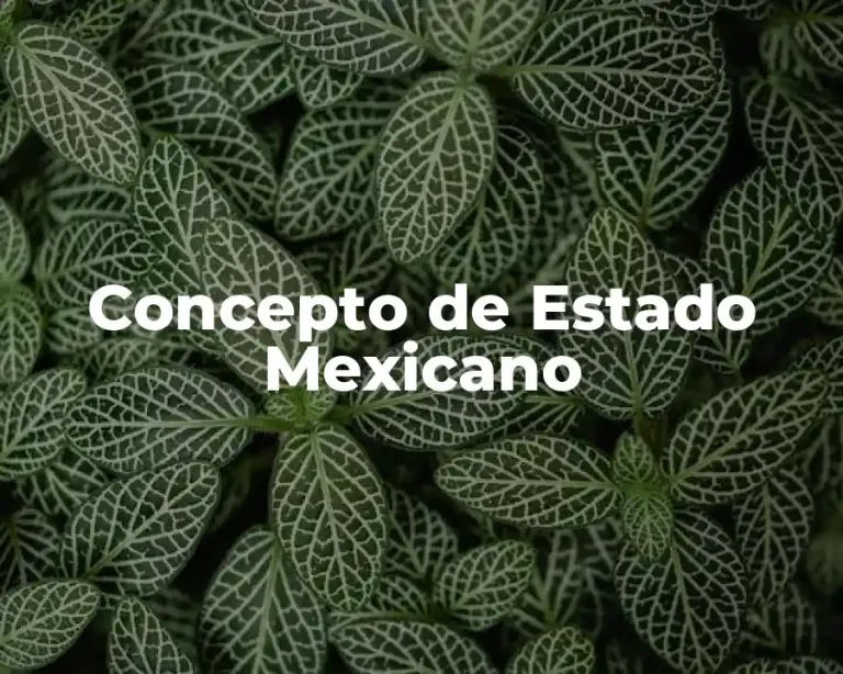 Concepto de Estado Mexicano