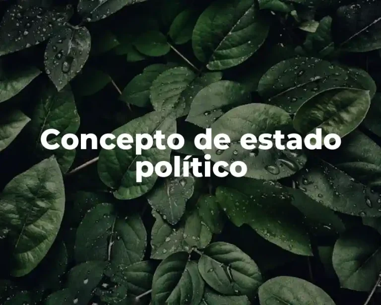 Concepto de estado político