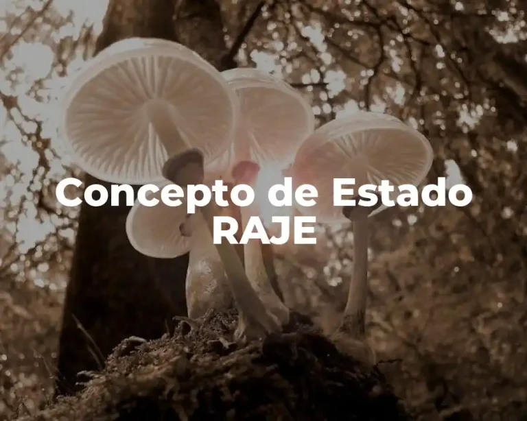 Concepto de Estado RAJE
