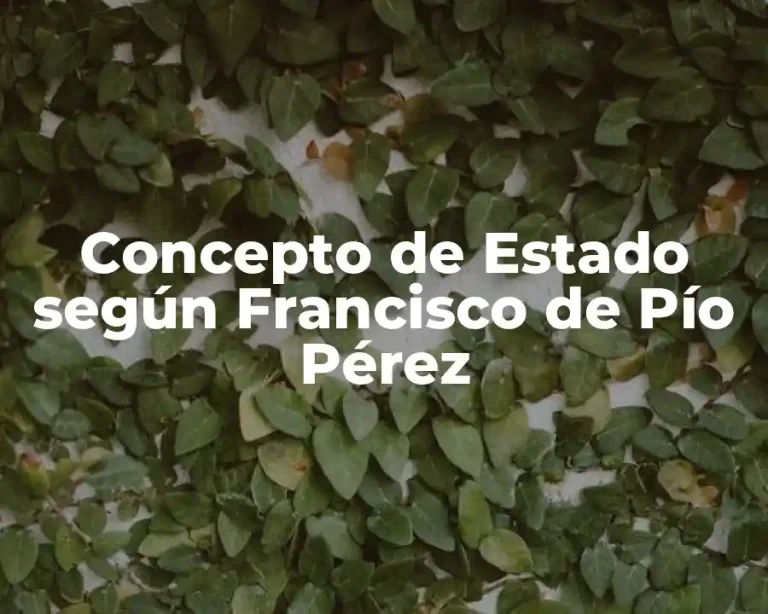 Concepto de Estado según Francisco de Pío Pérez