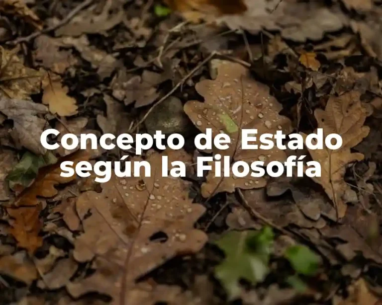 Concepto de Estado según la Filosofía