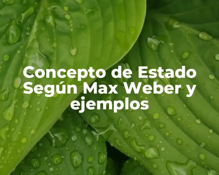 Concepto de Estado Según Max Weber y ejemplos