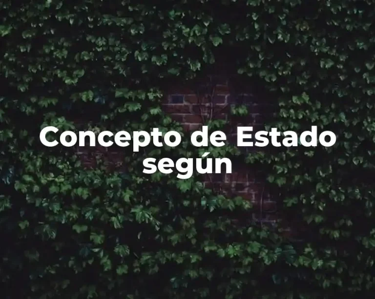 Concepto de Estado según