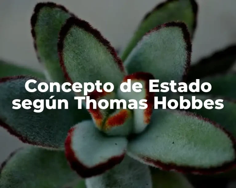 Concepto de Estado según Thomas Hobbes