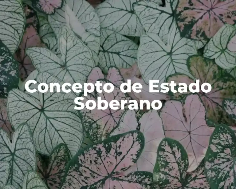 Concepto de Estado Soberano