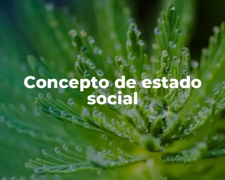 Concepto de estado social