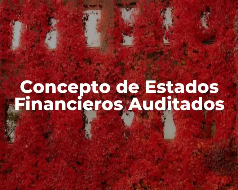 Concepto de Estados Financieros Auditados